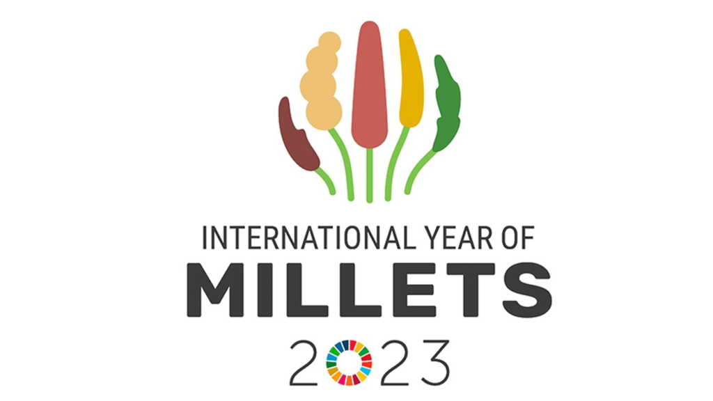 International Year Of Millets