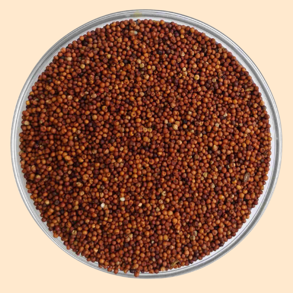 Finger Millet (Ragi)