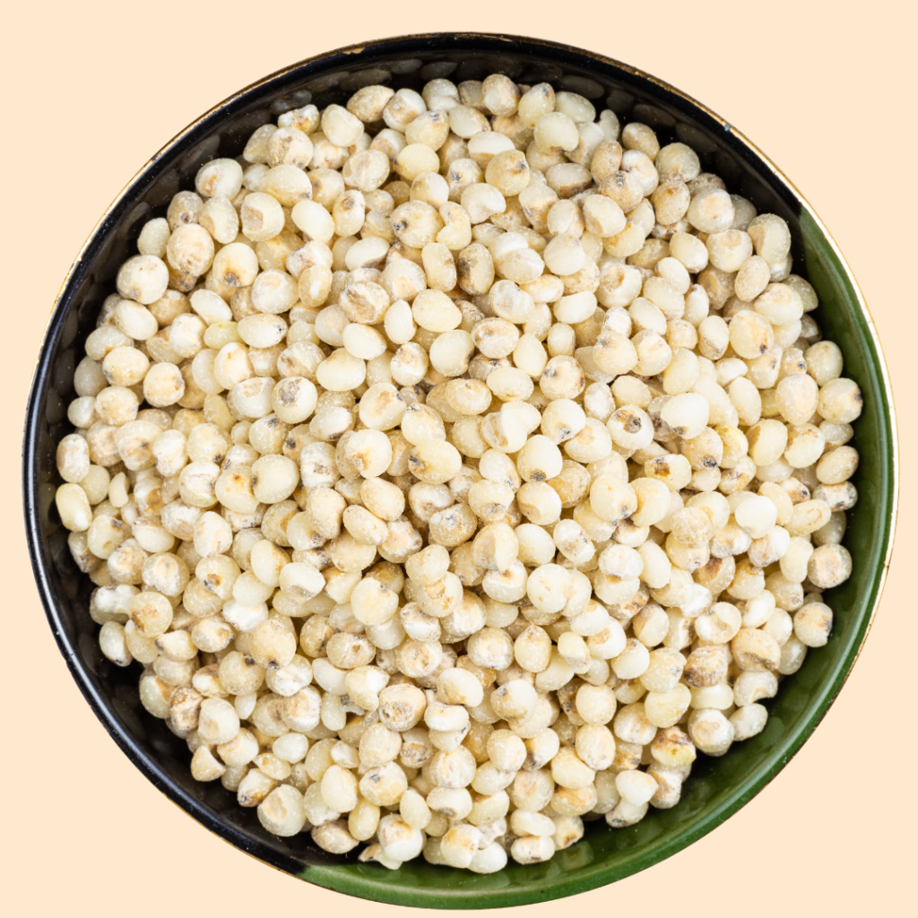 Sorghum (Jowar)