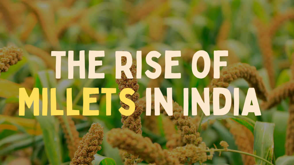 India's Millet Revolution 